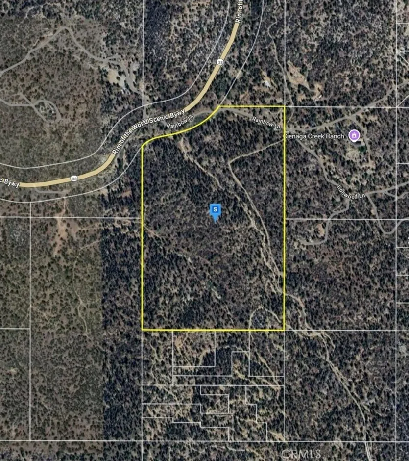 Highway 38 Angelus Oaks, CA 92305