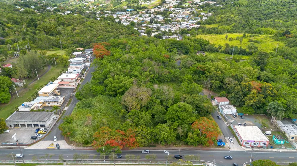CARR 14 KM 71.2 Cayey, PR 00737
