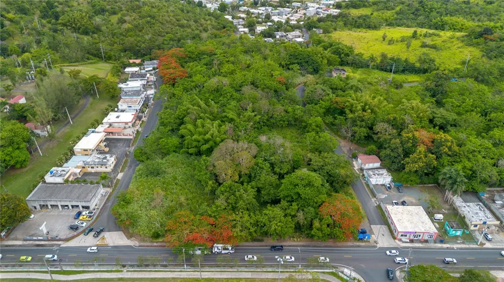 CARR 14 KM 71.2 Cayey, PR 00737