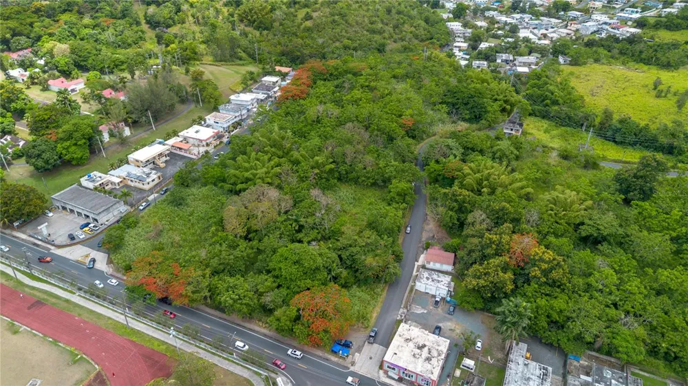 CARR 14 KM 71.2 Cayey, PR 00737