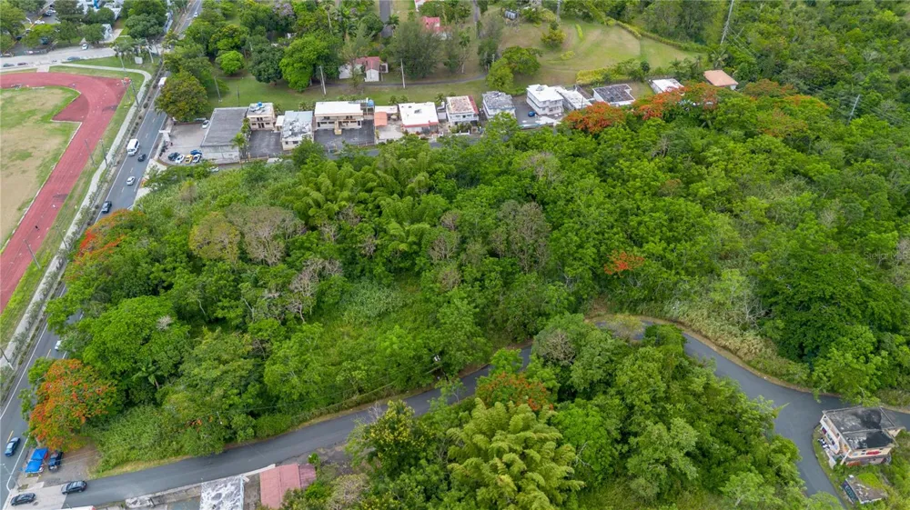 CARR 14 KM 71.2 Cayey, PR 00737