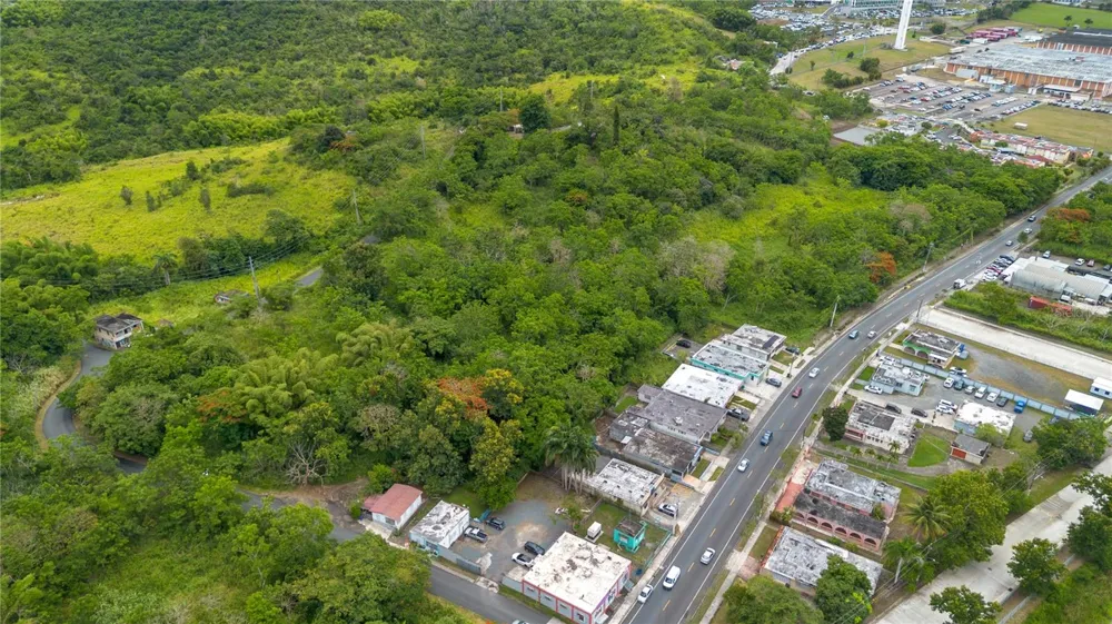CARR 14 KM 71.2 Cayey, PR 00737