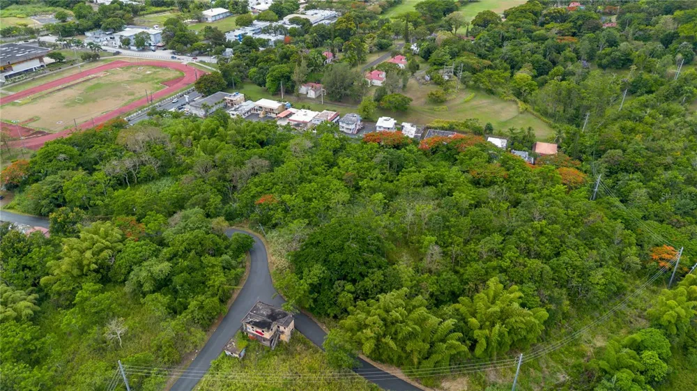 CARR 14 KM 71.2 Cayey, PR 00737