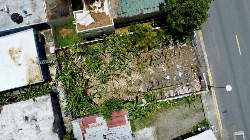 Bo. Pueblo C. PEDRO ARZUAGA Carolina, PR 00985