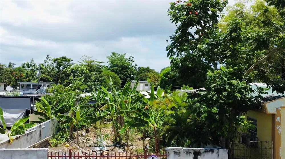 Bo. Pueblo C. PEDRO ARZUAGA Carolina, PR 00985