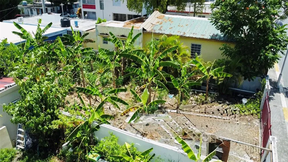 Bo. Pueblo C. PEDRO ARZUAGA Carolina, PR 00985