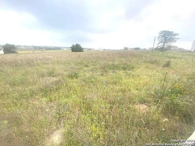 618 LAKERIDGE LN La Vernia, TX 78121