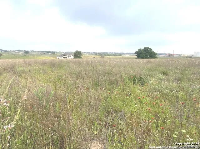 618 LAKERIDGE LN La Vernia, TX 78121