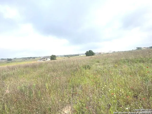 618 LAKERIDGE LN La Vernia, TX 78121