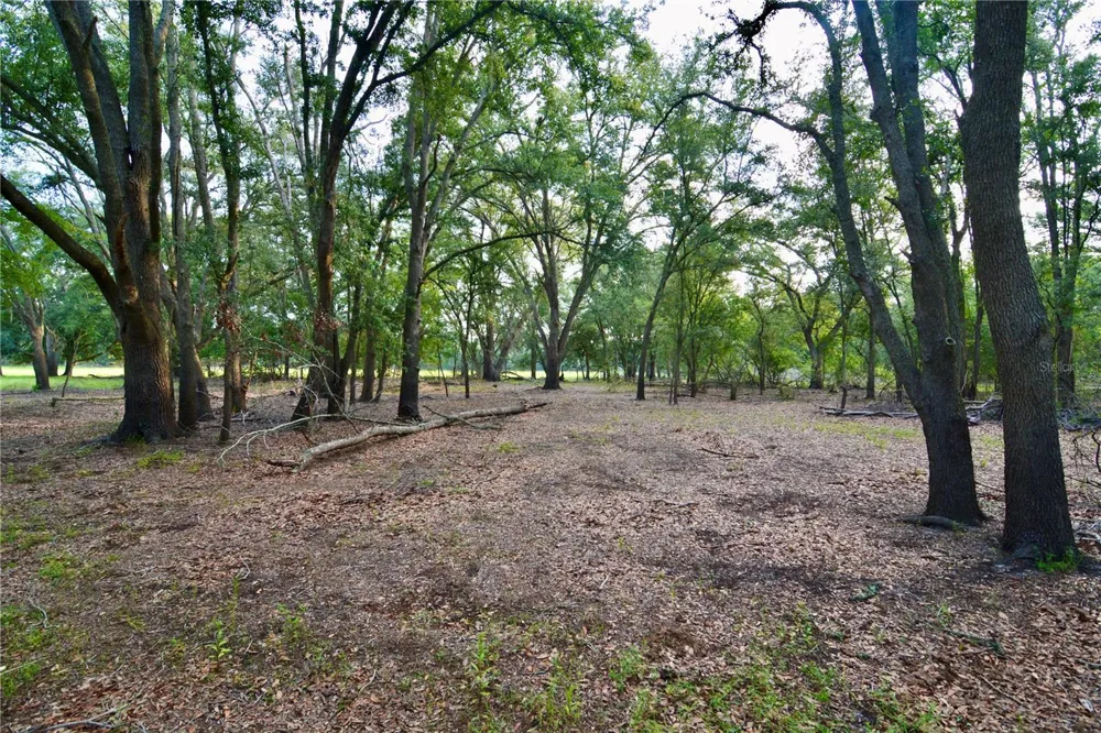 2669 NW SUWANNEE VALLEY ROAD Lake City, FL 32055