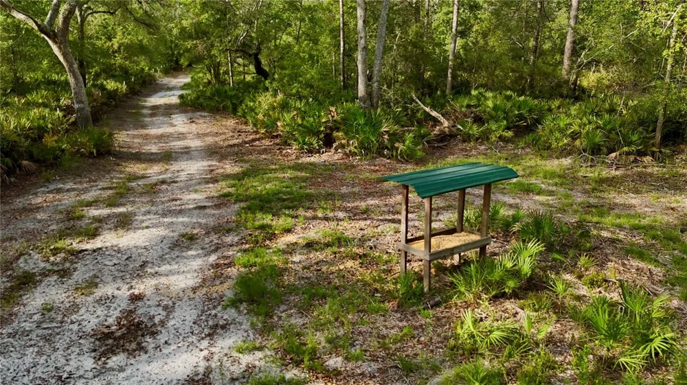 2669 NW SUWANNEE VALLEY ROAD Lake City, FL 32055