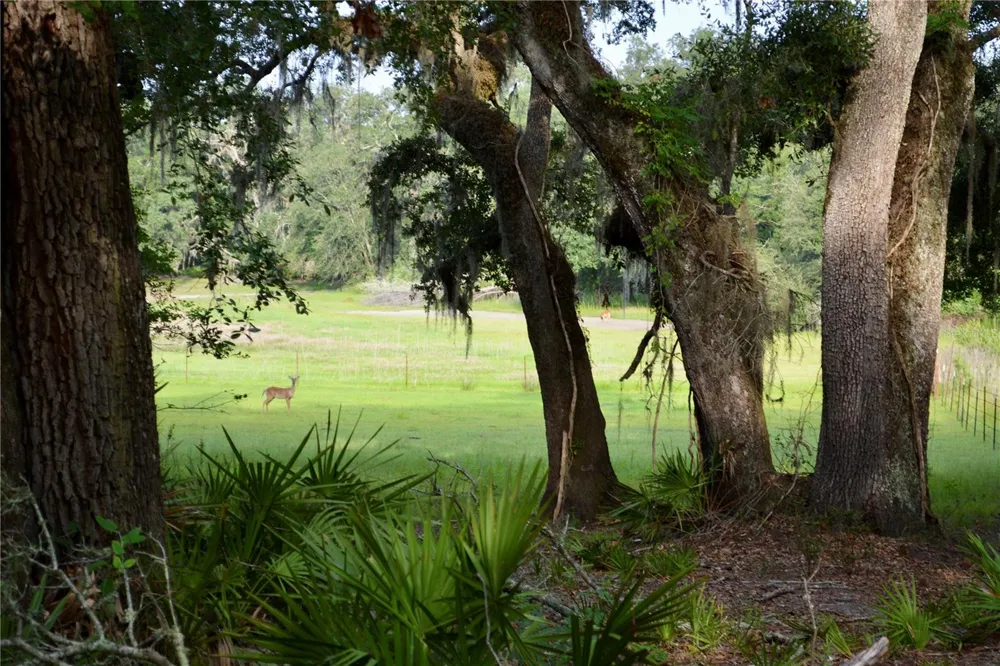 2669 NW SUWANNEE VALLEY ROAD Lake City, FL 32055