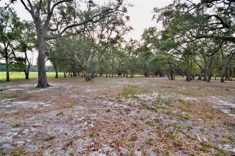 2669 NW SUWANNEE VALLEY ROAD Lake City, FL 32055