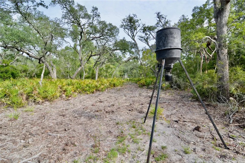 2669 NW SUWANNEE VALLEY ROAD Lake City, FL 32055