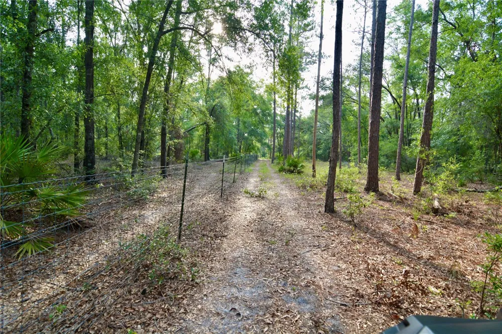 2669 NW SUWANNEE VALLEY ROAD Lake City, FL 32055