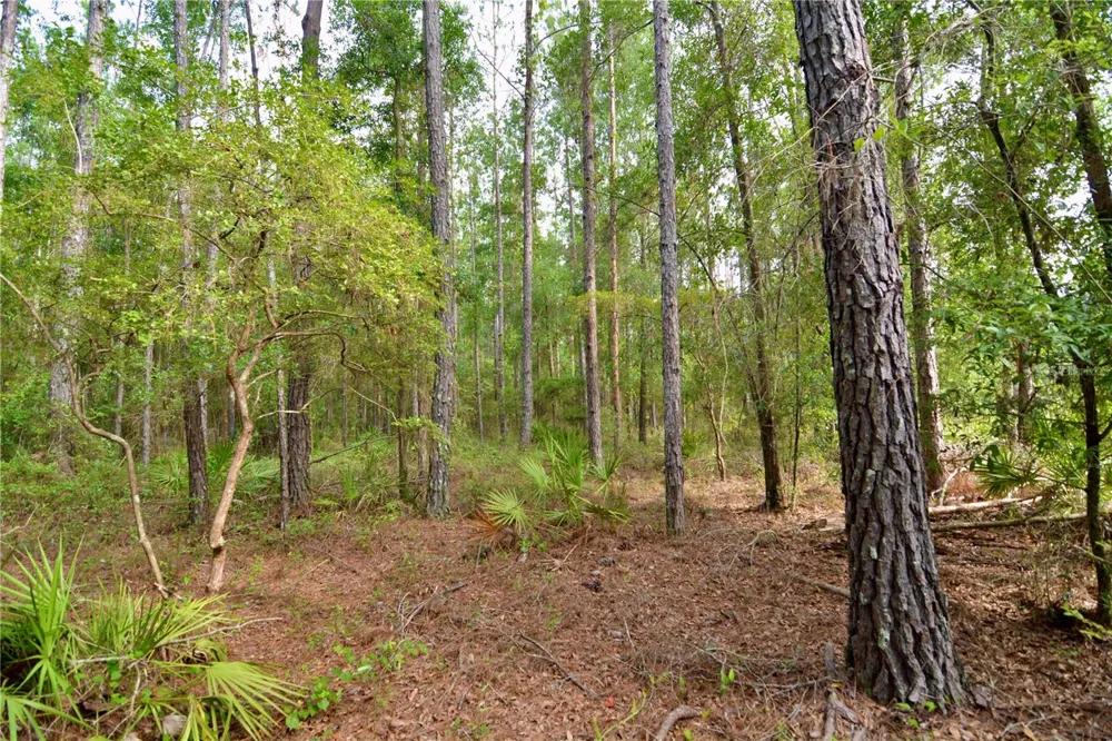 2669 NW SUWANNEE VALLEY ROAD Lake City, FL 32055