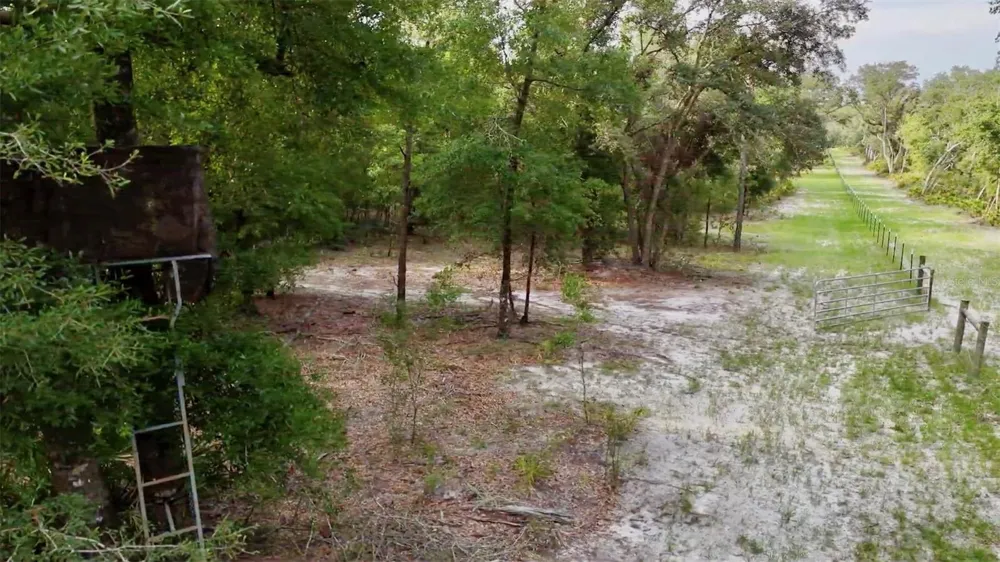2669 NW SUWANNEE VALLEY ROAD Lake City, FL 32055