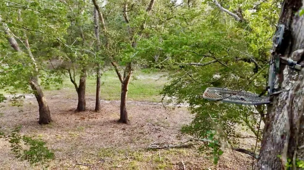 2669 NW SUWANNEE VALLEY ROAD Lake City, FL 32055