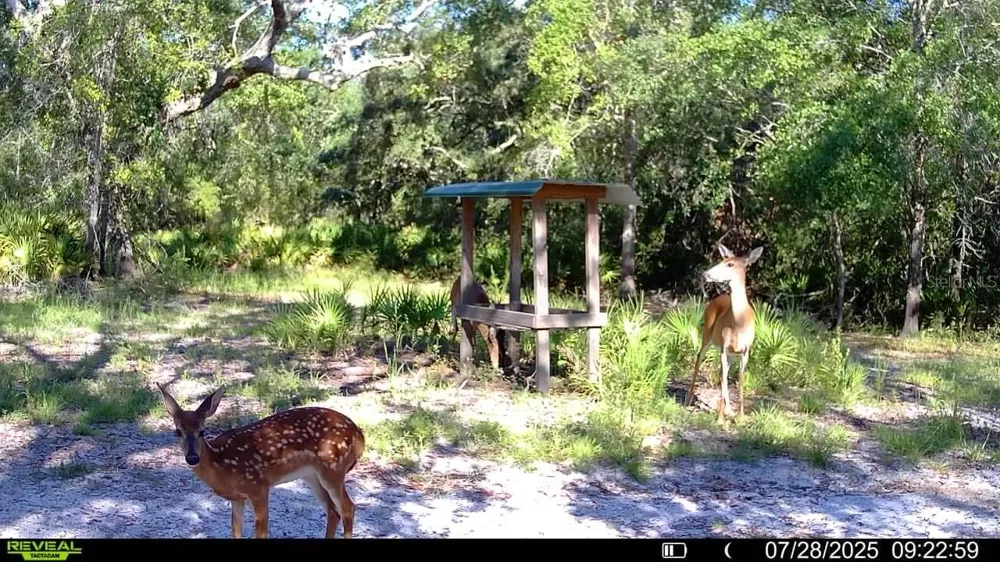 2669 NW SUWANNEE VALLEY ROAD Lake City, FL 32055
