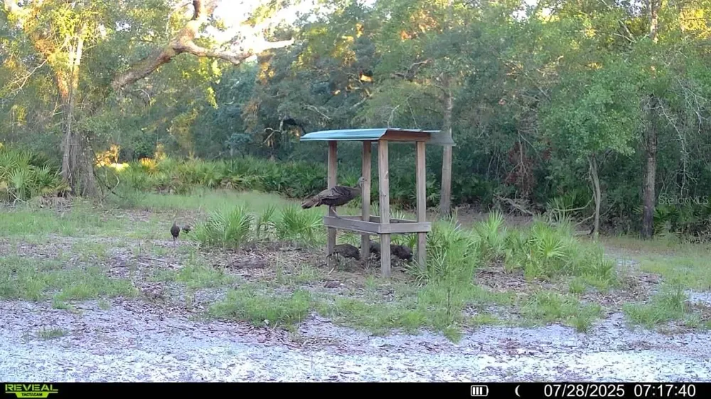 2669 NW SUWANNEE VALLEY ROAD Lake City, FL 32055