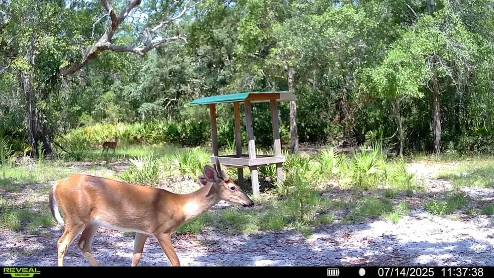 2669 NW SUWANNEE VALLEY ROAD Lake City, FL 32055