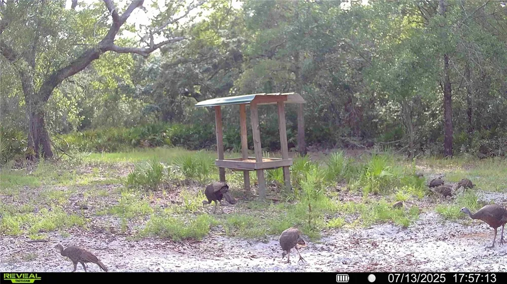 2669 NW SUWANNEE VALLEY ROAD Lake City, FL 32055