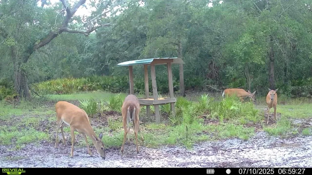 2669 NW SUWANNEE VALLEY ROAD Lake City, FL 32055