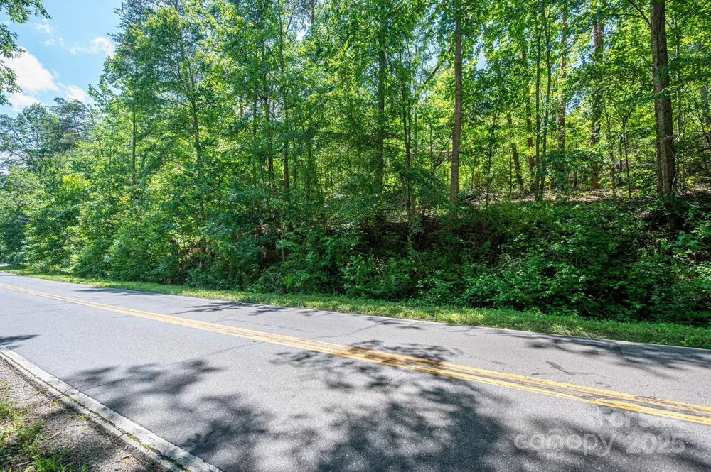 Lot 1 Cleghorn Mill Road Rutherfordton, NC 28139
