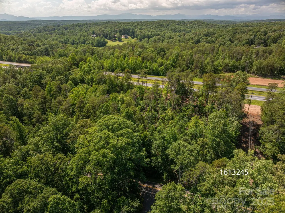 Lot 1 Cleghorn Mill Road Rutherfordton, NC 28139