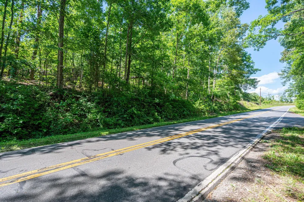 Lot 1 Cleghorn Mill Road Rutherfordton, NC 28139
