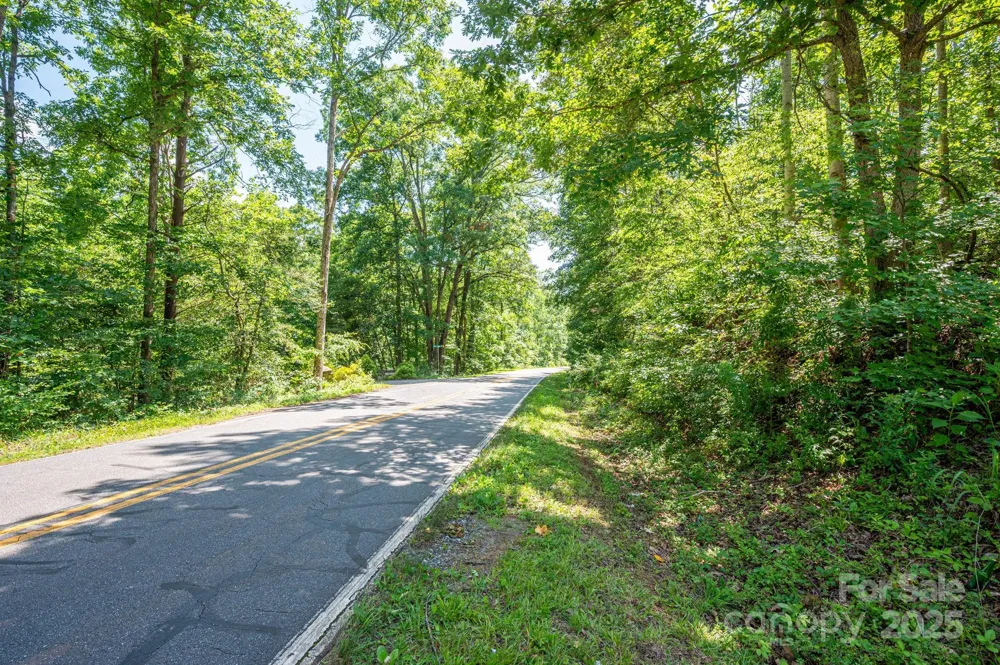 Lot 1 Cleghorn Mill Road Rutherfordton, NC 28139