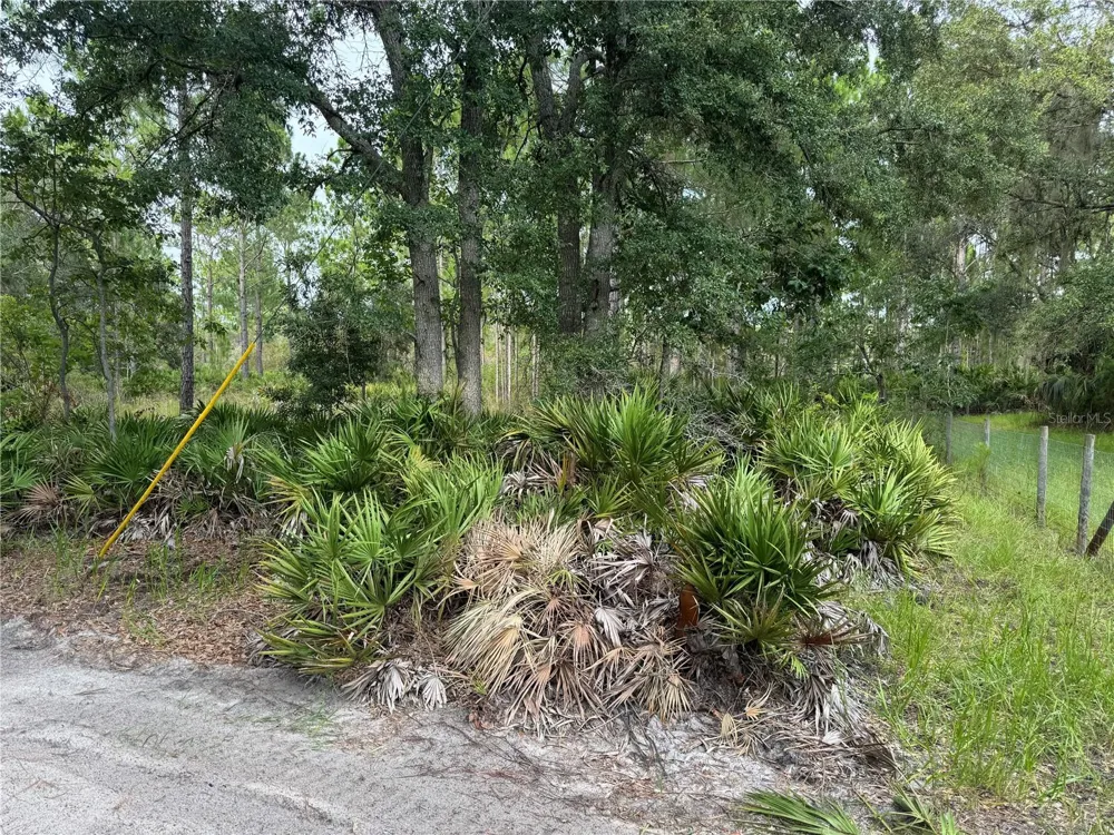 00 SW 103RD COURT Cedar Key, FL 32625