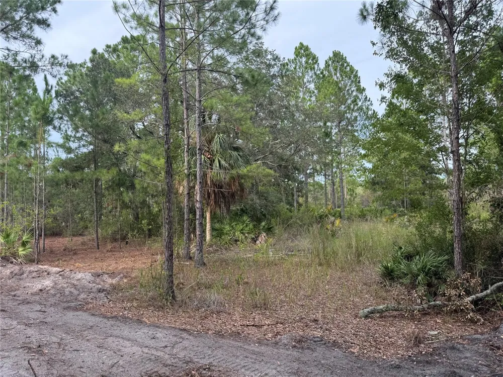 00 SW 103RD COURT Cedar Key, FL 32625