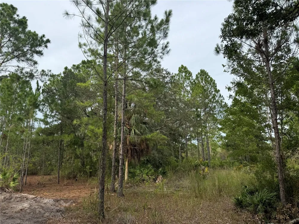 00 SW 103RD COURT Cedar Key, FL 32625