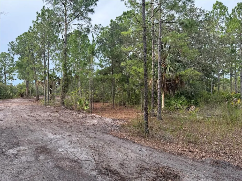 00 SW 103RD COURT Cedar Key, FL 32625