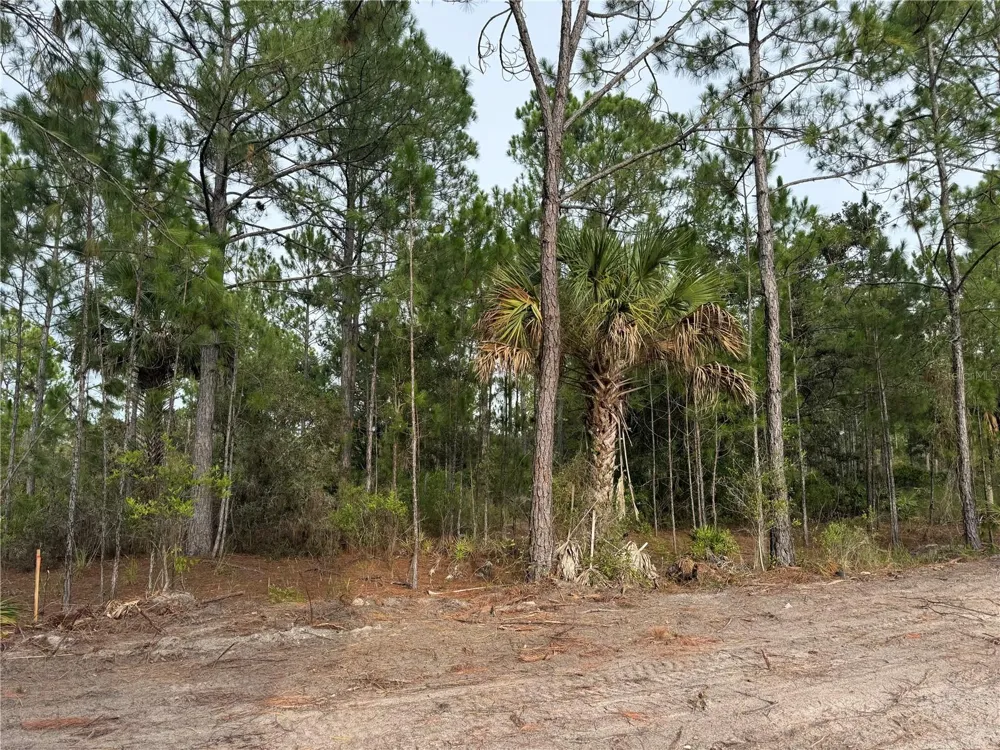 00 SW 103RD COURT Cedar Key, FL 32625