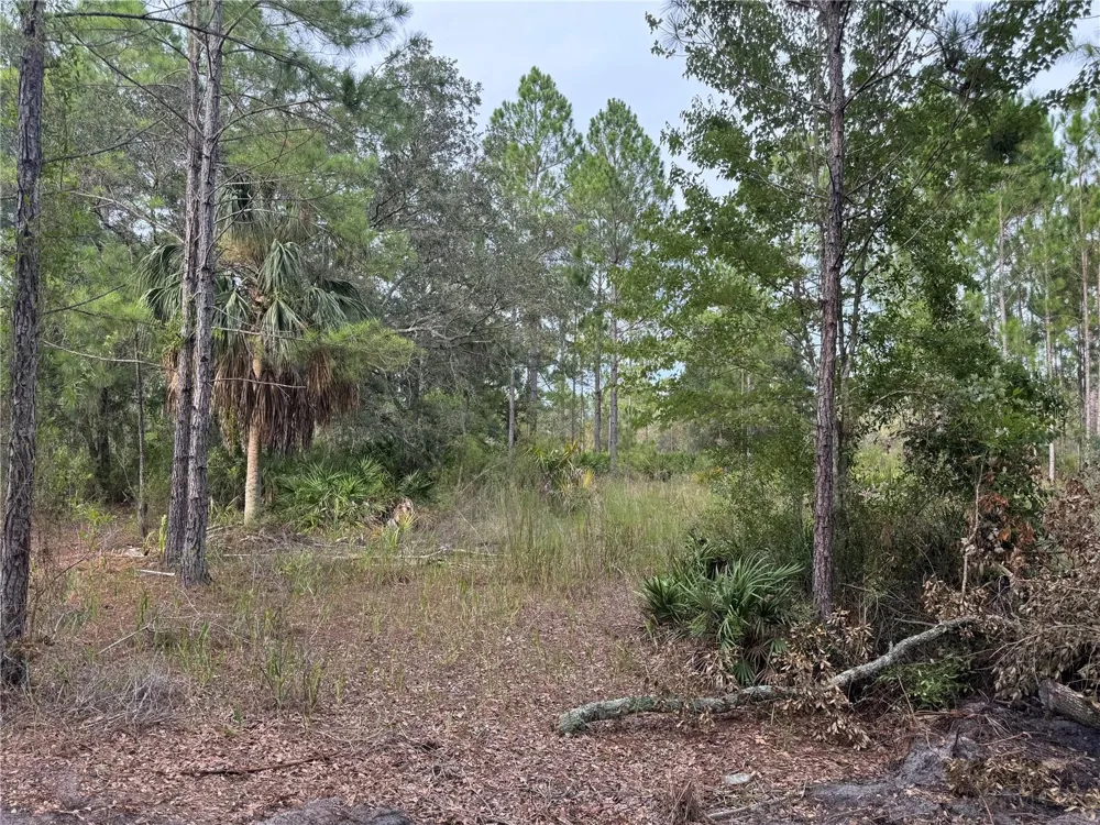 00 SW 103RD COURT Cedar Key, FL 32625