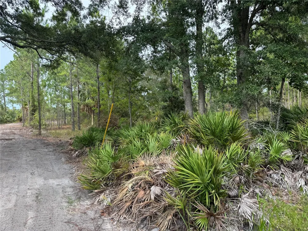 00 SW 103RD COURT Cedar Key, FL 32625
