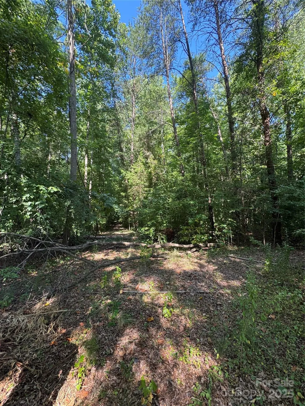 3400 Pleasant Road Fort Mill, SC 29708