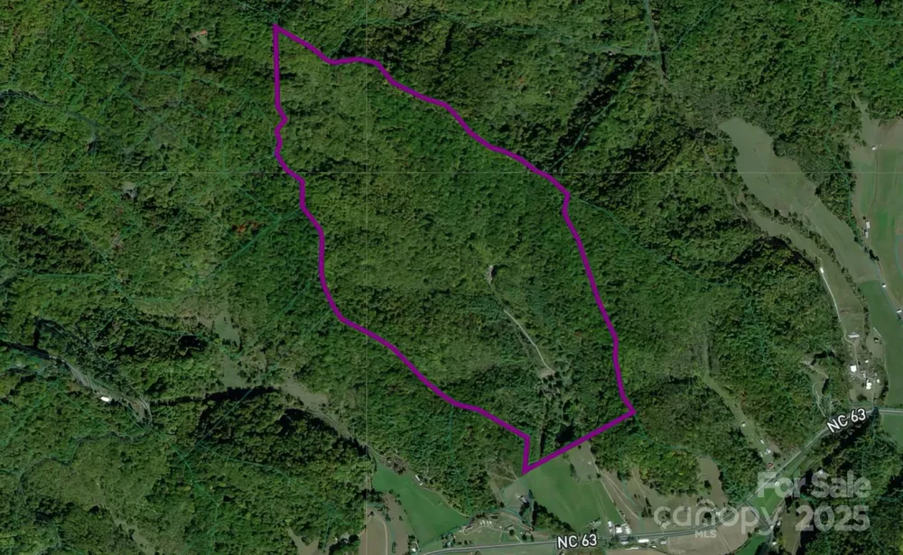 8749 Nc 63 Highway Leicester, NC 28748