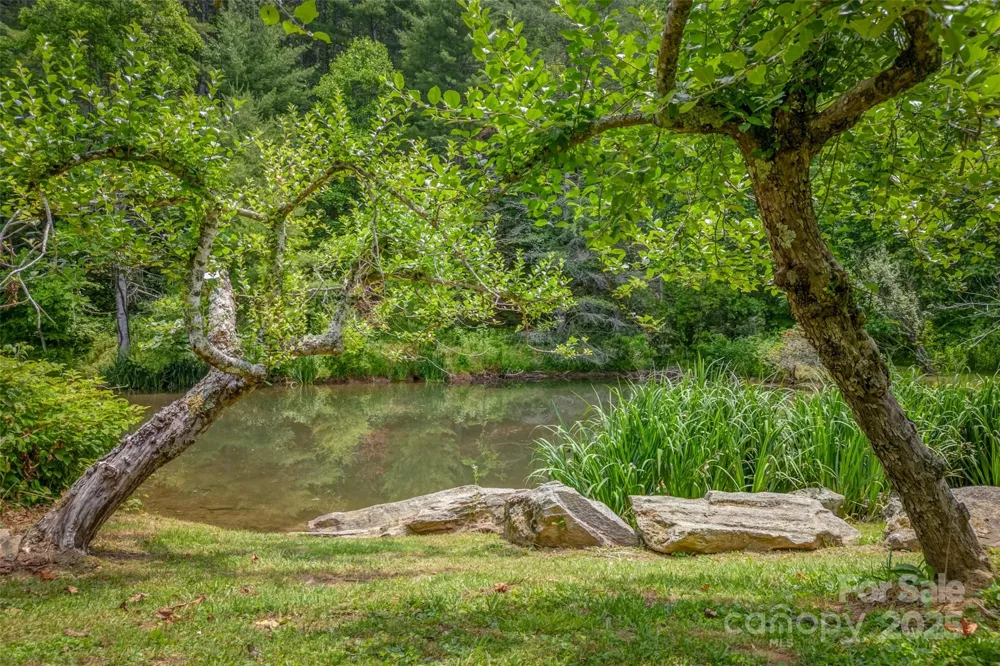 8749 Nc 63 Highway Leicester, NC 28748