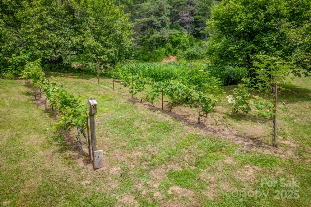 8749 Nc 63 Highway Leicester, NC 28748