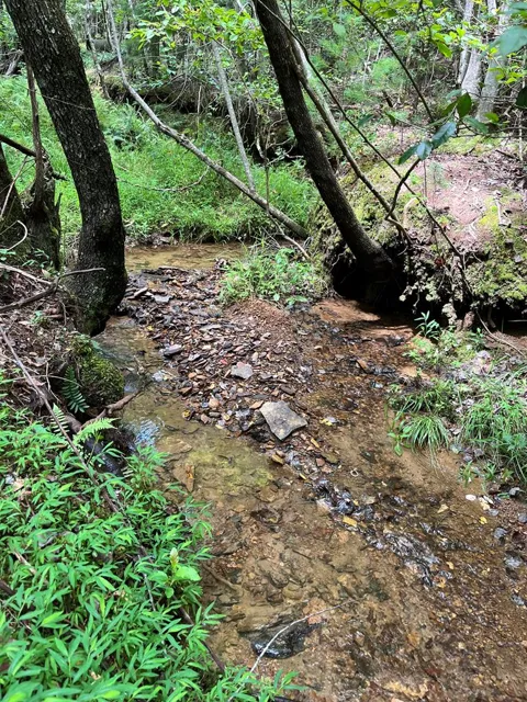 TBD Sheep Knob