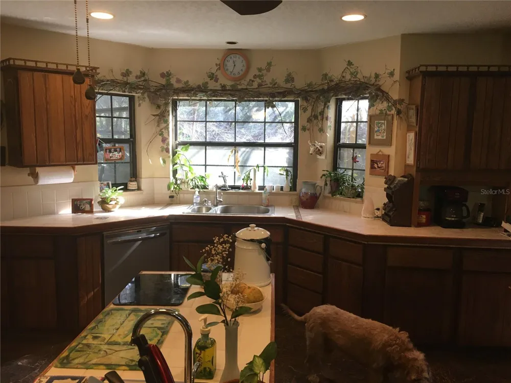 2436 CR 416N Lake Panasoffkee, FL 33538