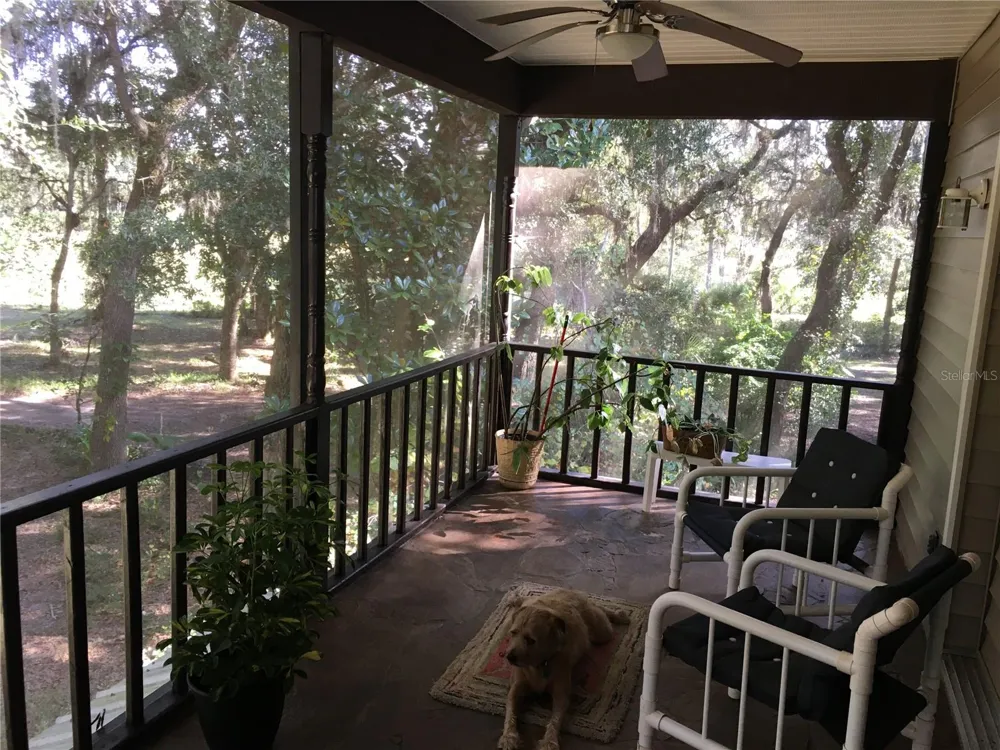2436 CR 416N Lake Panasoffkee, FL 33538