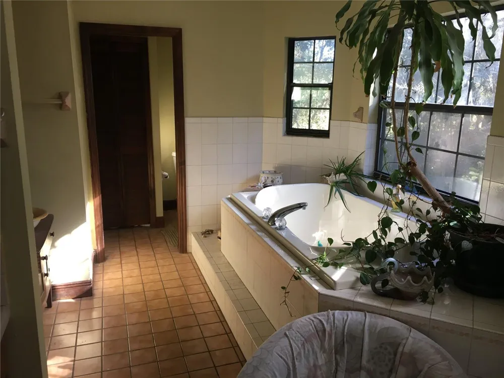 2436 CR 416N Lake Panasoffkee, FL 33538