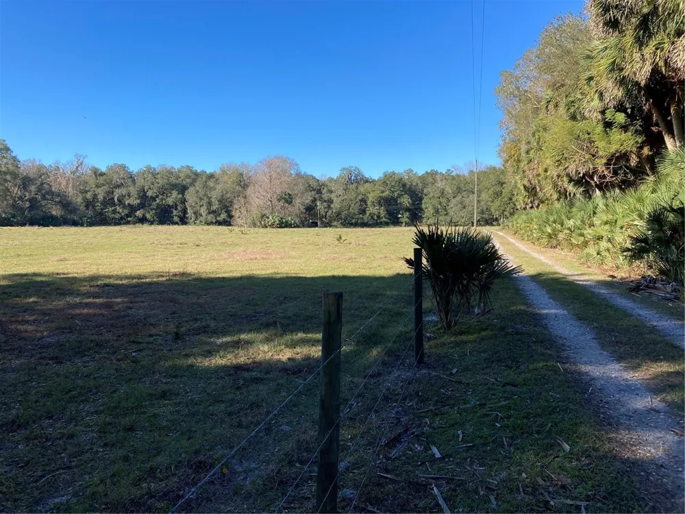 2436 CR 416N Lake Panasoffkee, FL 33538