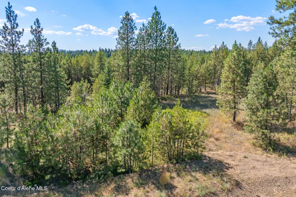 Lot 16 Asulkan Street Athol, ID 83801