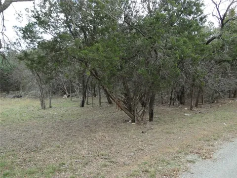 Magnolia Lane