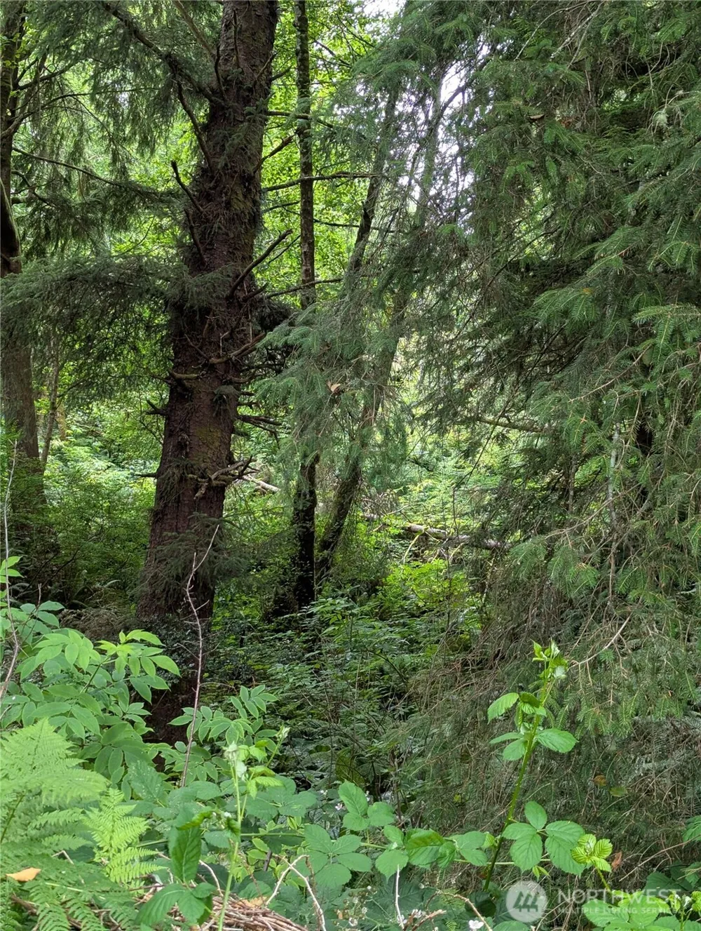 0 LOT 14 Lamontay Place Ilwaco, WA 98624